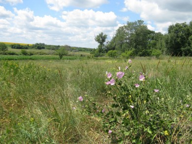На місці колишніх Козацьких хуторів