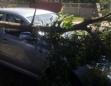 В Полтаве упавшие деревья повредили автомобили и перекрыли улицу