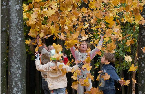 На Полтавщині канікули в школах розпочнуться з 17 жовтня