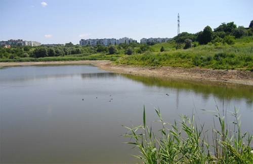 Обласна влада вирішила фінансово допомогти Полтаві реконструювати ставок біля вулиці Шилівської