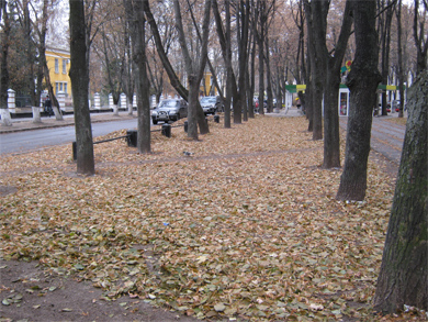 Ученики 9-Б школы №10 убирают от листьев закрепленный за их классом участок за памятником Ляле Убийвовк