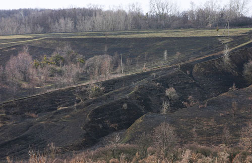 Пожежі на Полтавщині: горить трава, горять ліси