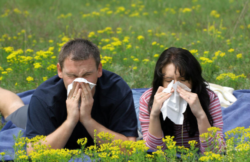 Полінози — група алергічних захворювань, що спричинені рослинним пилком