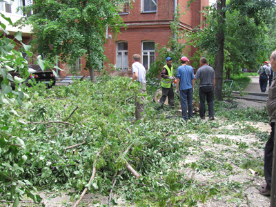В Полтаве упавшее дерево обесточило центральную улицу