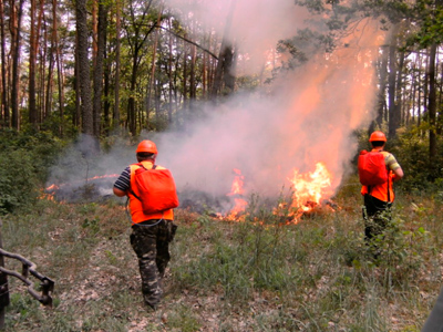 Лубенські лісівники провели показові навчання з гасіння пожеж
