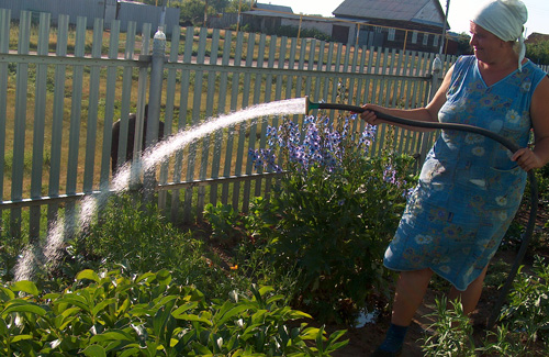 Водоканал просить не поливати городи без дозволу