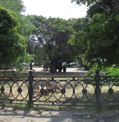 Комунальники спиляли аварійні дерева у парку на площі Слави