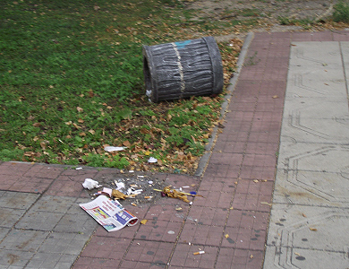 В Полтаве неизвестные перевернули ряд мусорных урн
