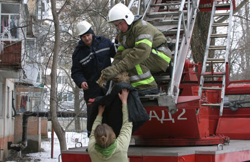 Полтавські рятувальники спасли кота