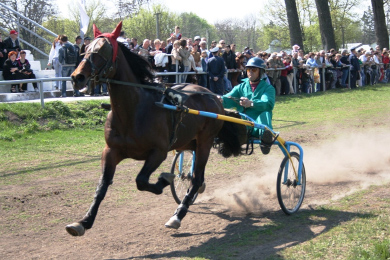 Кінно-спортивне свято в селі Дібрівка Миргородського району