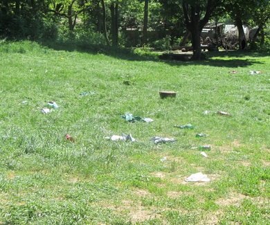 сміття в парку Перемога