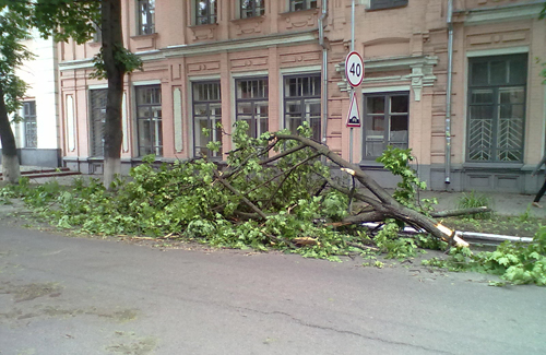 Упавшая ветка на улице Пушкина