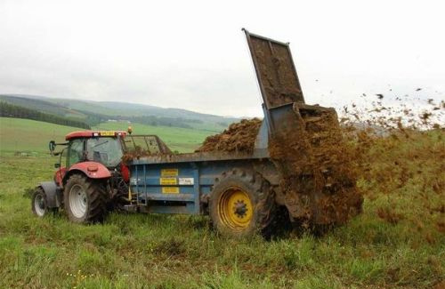 Трактор рассыпает куринный помет на поле