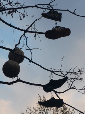 Взуття та футбольні м’ячі висять на дереві