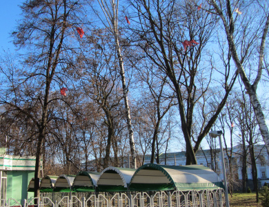 Залишки «небесних ліхтариків» на деревах Корпусного парку