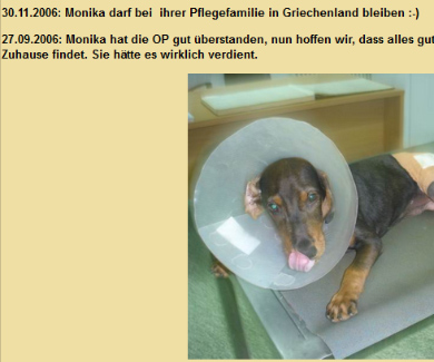 Фотография собаки опубликована в 2006 году на немецком сайте