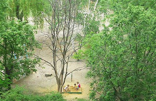 Сухе дерево на дитячому майданчику