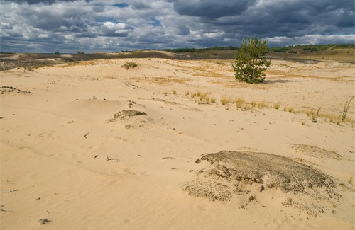 Пустыня в Харьковской области