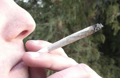 На Полтавщине марихуану курят уже публично