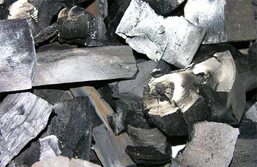 В селі Лівенське виявили підпільний цех по виробництву деревного вугілля
