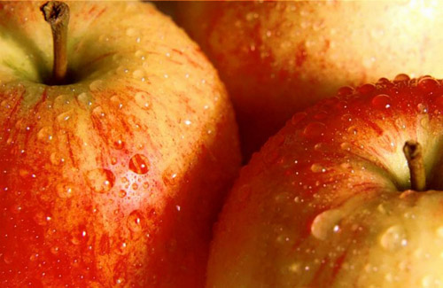 Празднуем день рождения Нобеля и едим яблоки 