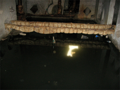 У підвалі третього під’їзду будинку по вул. Освітянська, 5 стоїть вода і літають комарі
