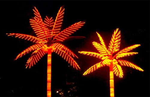 Новогодние пальмы