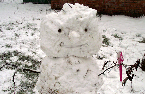 Снеговик в одном из полтавских дворов