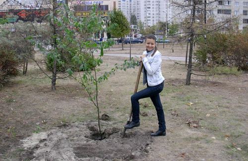 У Всесвітній день лісу посади дерево