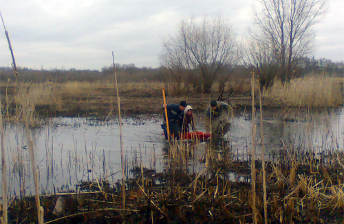 Полтавські МНСники врятували жінку з болота