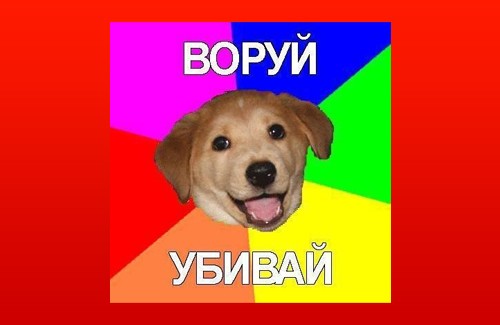 «Advice Dog» – відомий інтернет-мем, що набув особливої популяності в період кризи
