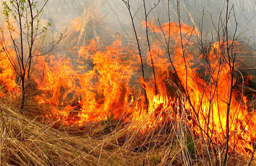 На Полтавщині відкрито сезон лісових пожеж