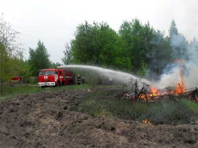 На Полтавщині лісівники влаштували пожежу