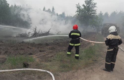 На Полтавщині лісівники влаштували пожежу, а потім вчилися її гасити