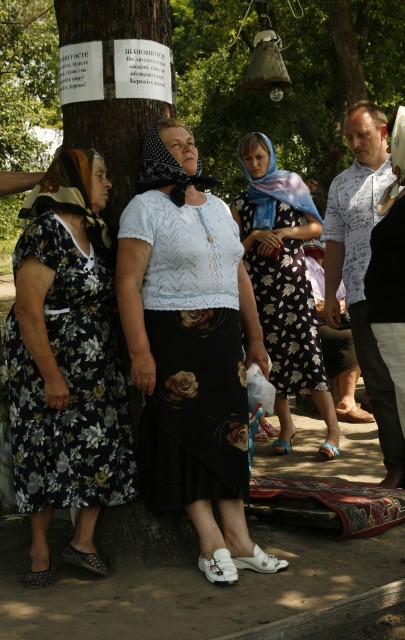 У селі Старицьківка Машівського району на зрізі старої груші проявився образ Пресвятої Богородиці