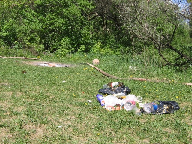 Дендропарк полон мусора после майских праздников