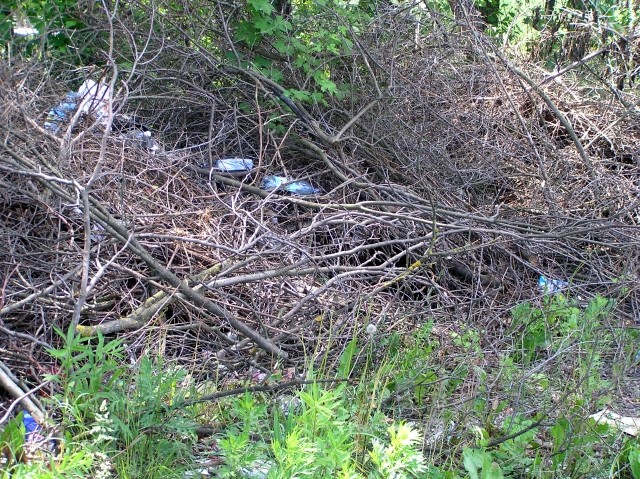Стихийная свалка мусора возле Воронина