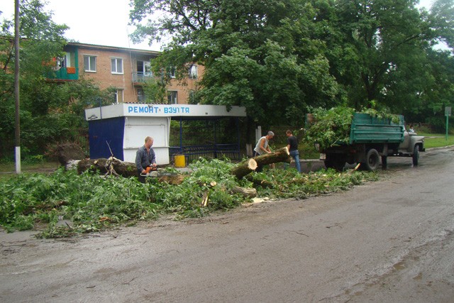 Працівники селищного комунгоспу прибирають звалені стихією дерева