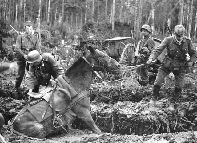Немецкие солдаты в болоте Мясного Бора под Новгородом