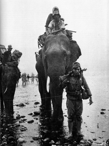 Японские войска перевозят грузы на слонах в Бирме