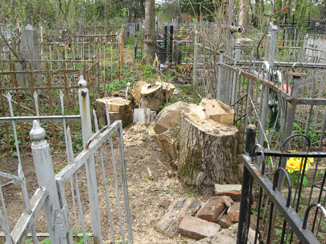 Залишки спиляного аварійного дерева ще не винесли, та приберуть потім