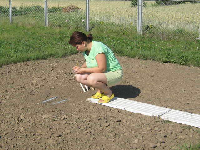 Метеоролог фіксує температуру на поверхні ґрунту