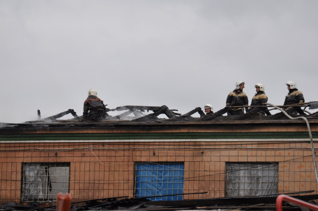Пожарные на крыше завода