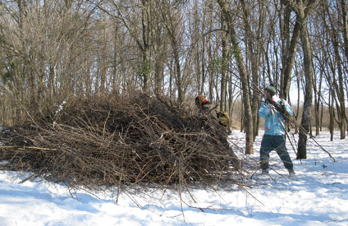 Расчистка от самосева участка «Украинская дубрава», 27 февраля