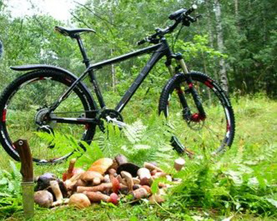 Восени гриби краще збирати на велосипеді