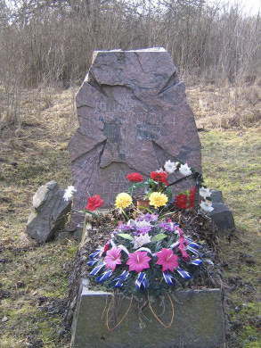 Могила Василя Чучупака на цвинтарі у Мельниках