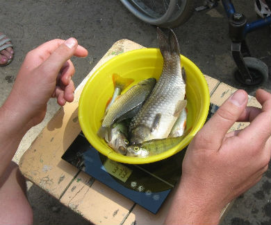 рыбалка в Дендропарке