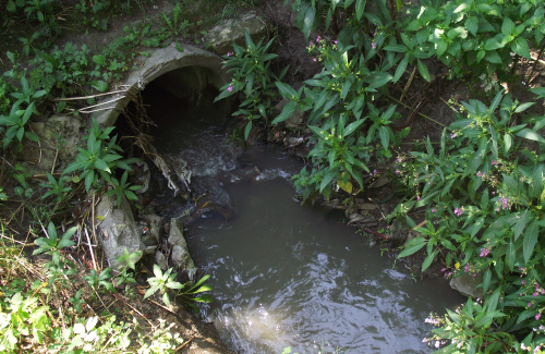 Річка Тарапунька наповнена каналізаційними стоками