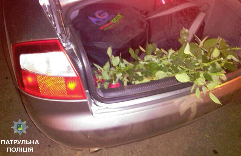 Украденные розы из Корпусного парка в багажнике Audi A4