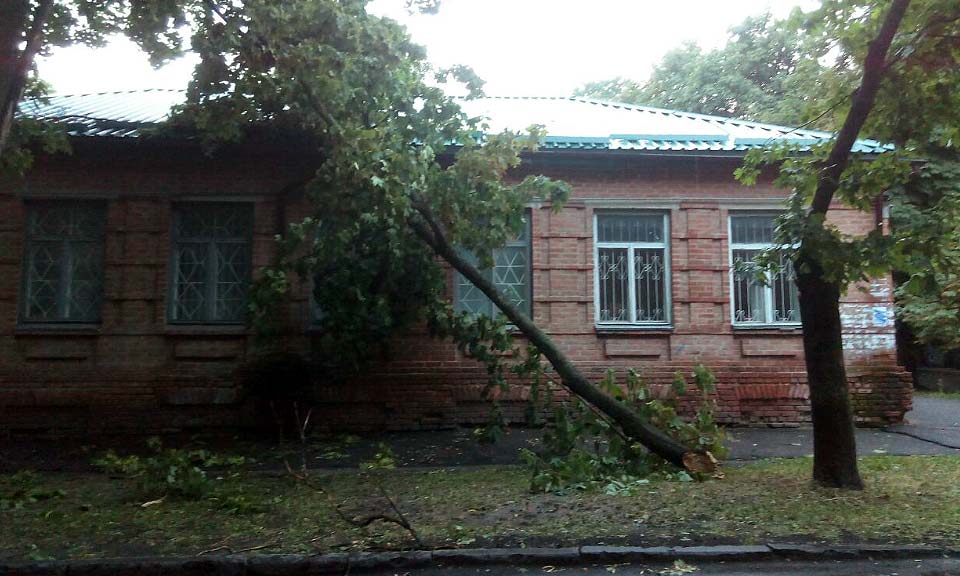 Большая ветка упала на крышу дома по улице Пушкина, 19а.